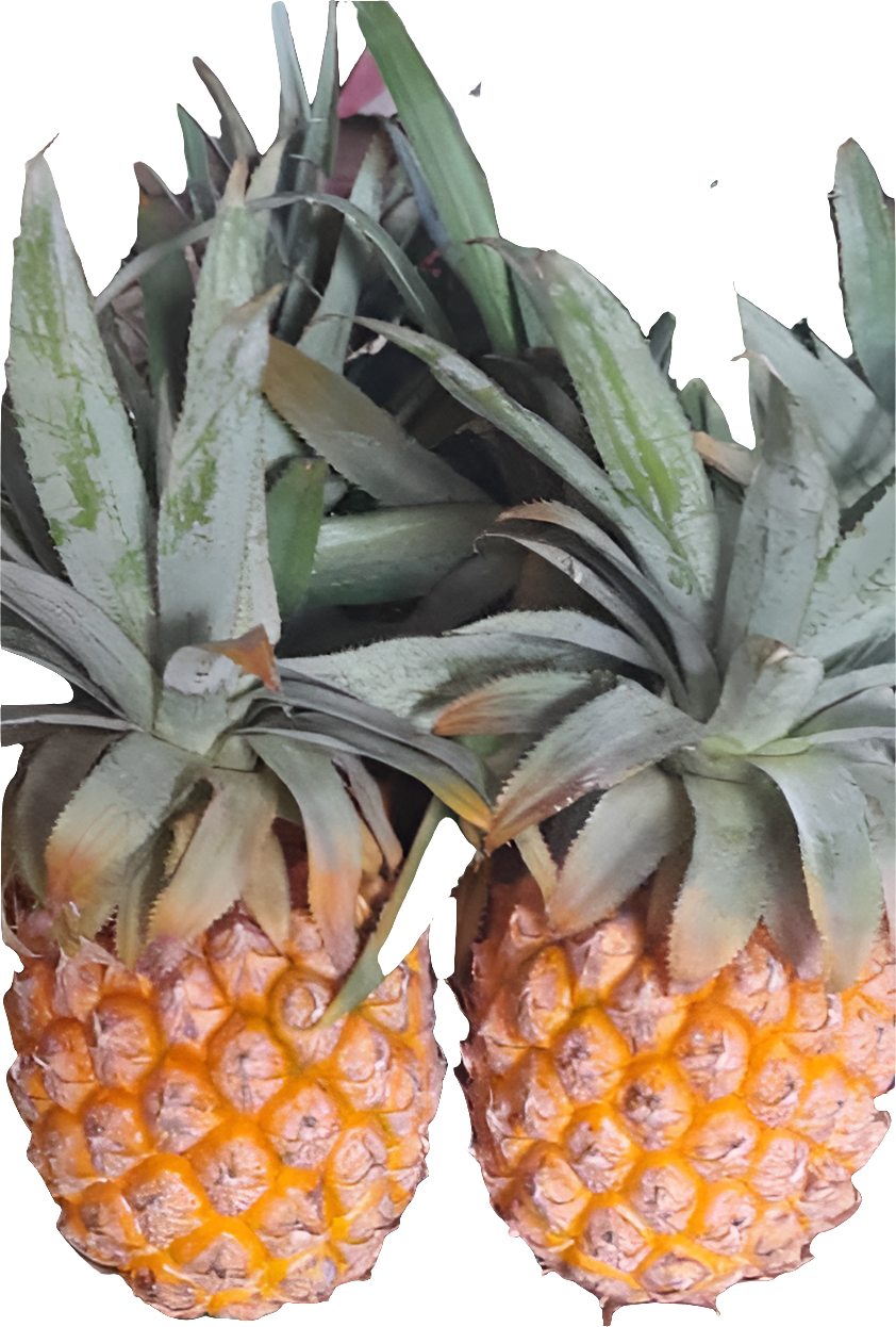 Fresh fruit and Vegetables