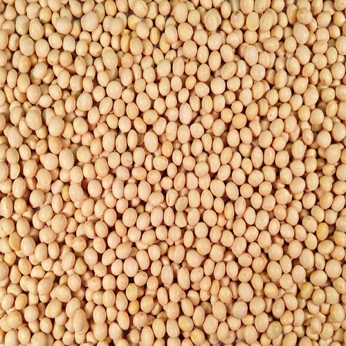 Soya beans