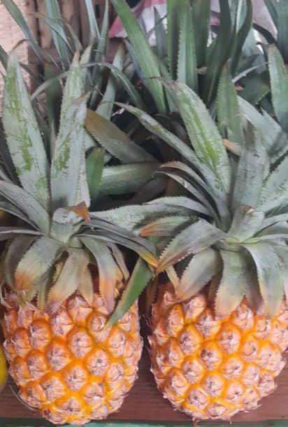 Fresh fruit and Vegetables