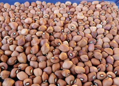 Nyemba – Cowpeas