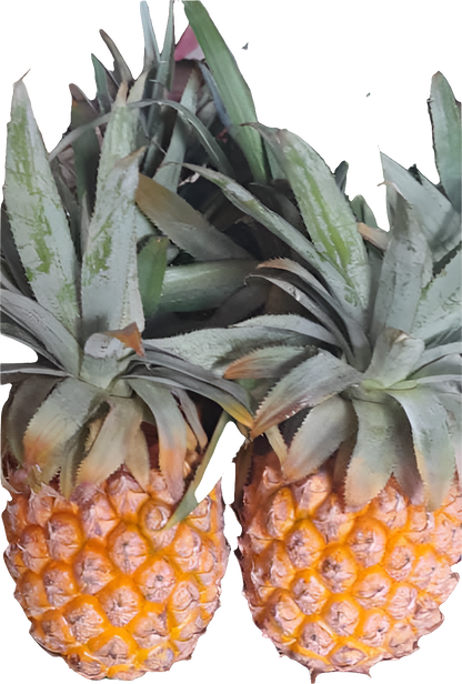 Fresh fruit and Vegetables