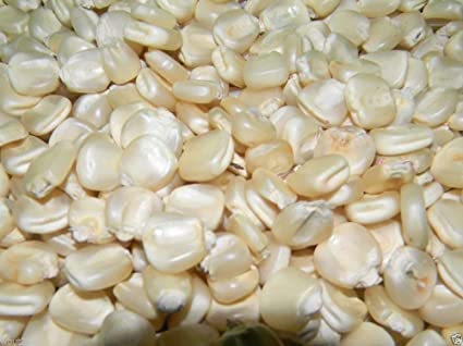 Maize dried - Chibage